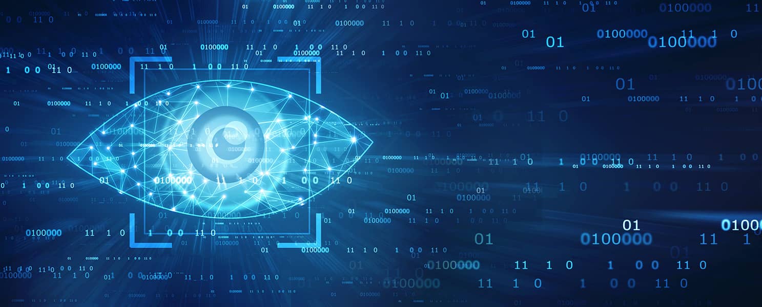 24 VISION SYSTEM TINT